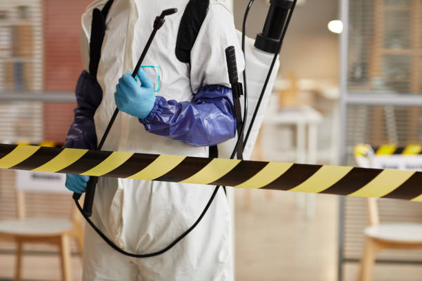 Professional Odor Removal technician working in Worthington, OH